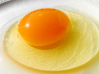 【定期便6か月】 江原ファーム　体に優しい地養卵（20個）｜卵 たまご タマゴ 生みたて 産みたて 新鮮 濃厚 健康 赤玉 産地直送_AG23