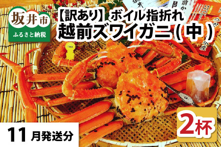 【11月発送】【先行予約】【訳あり】越前がに（中）2杯 指折れ 越前ズワイガニ [J-4304_11]