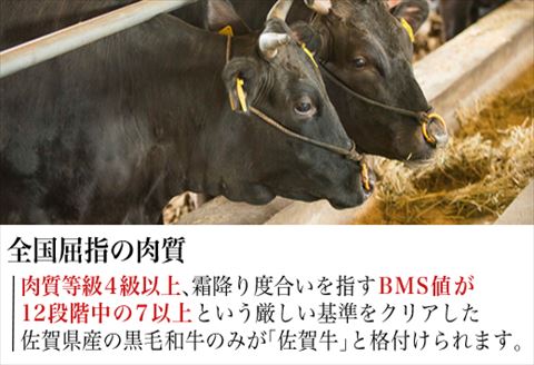 佐賀牛上カルビ焼肉用 450g 牛肉 ギフト「2023年 令和5年」