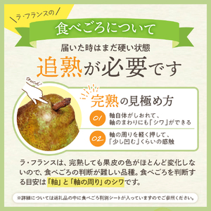 【2026年産】西洋梨 ラフランス 3kg 秀品 化粧箱入 西洋梨