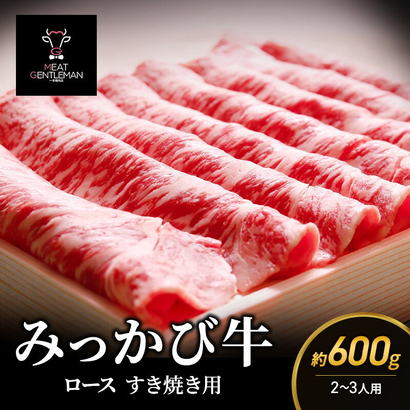 【ふるさと納税】牛肉 みっかび牛 約600g 2～3人用 ロース すき焼き用 国産 すきやき ロース肉 三ヶ日牛 お肉 ブランド牛 静岡県 浜松市 静岡 浜松 三ヶ日町