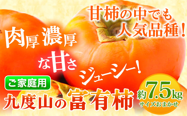 先行予約〈ご家庭用〉柿の名産地 九度山の 富有柿 約7.5kg 厳選館 《2025年11月上旬-12月下旬頃出荷》 和歌山県 日高川町 柿 カキ かき ジューシー フルーツ(F)