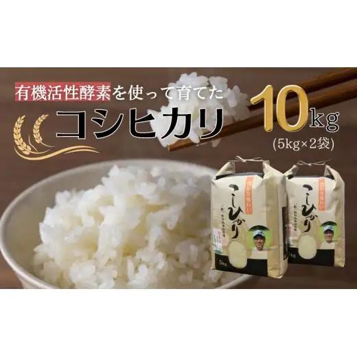 令和7年産 有機活性酵素を使用 新見産コシヒカリ 白米10kg(5kg×2袋)