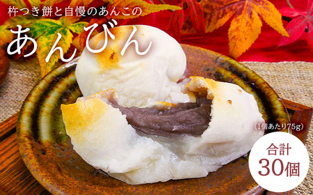 杵つき餅と自慢のあんこの｢あんびん（こし餡）｣30個（5個入り袋×6袋） mi0002-0015