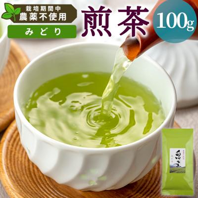 ふるさと納税 東白川村 栽培期間中 農薬不使用! 煎茶 みどり 100g 常磐園 日本茶 緑茶 煎茶