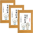 【ふるさと納税】国産 生姜紅茶（3個セット）：B180-008