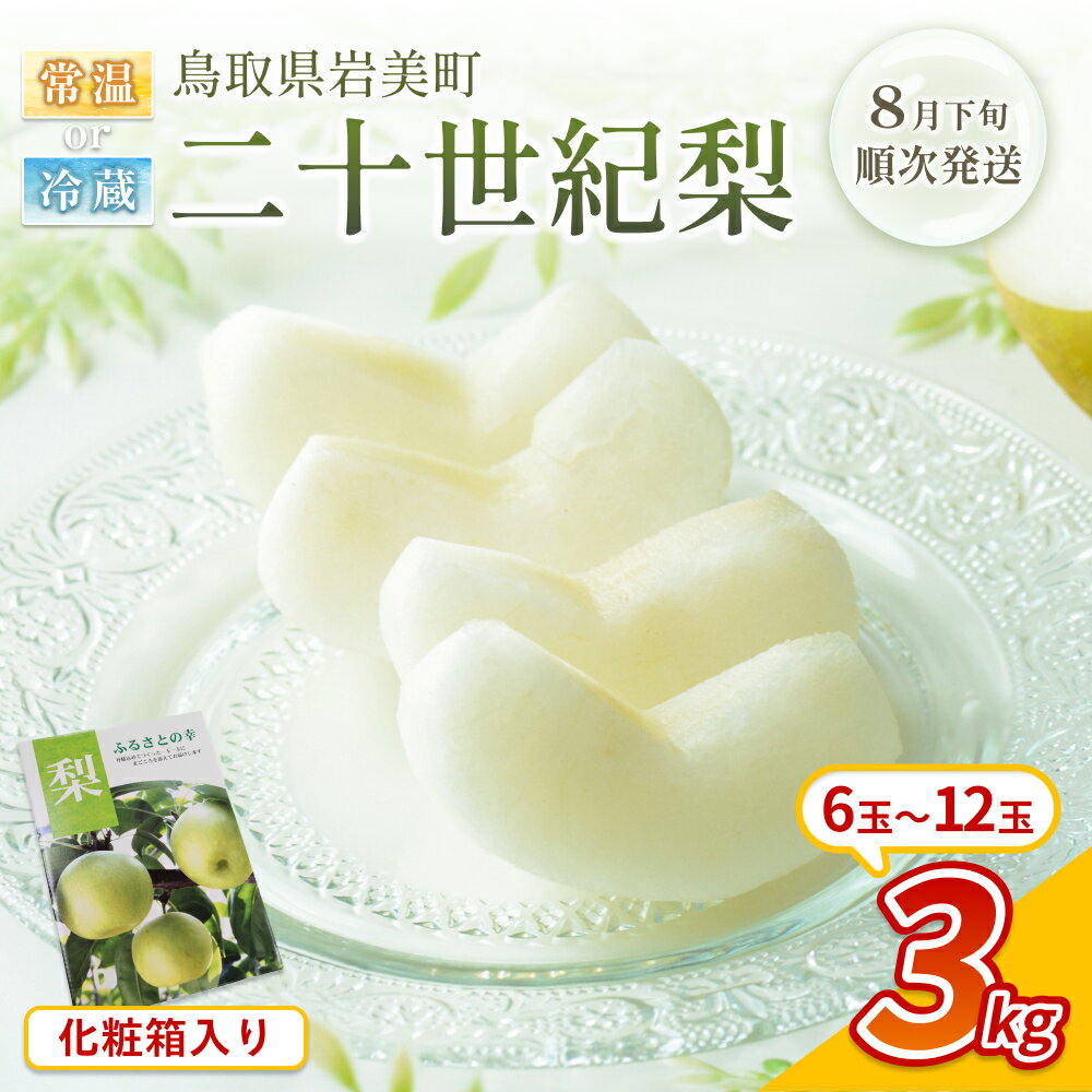 【ふるさと納税】【先行予約】中野農園 梨 ”二十世紀梨” 3kg 化粧箱入り｜鳥取 岩美 梨 なし ナシ 20世紀梨 青梨 果物 フルーツ ※お届けは2026年8月下旬頃～【41072】