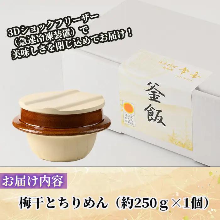 料亭の釜めし・極＜梅干しとちりめん＞(約250g×1) 料亭 グルメ 冷凍【TW-7】【魚甚閣 常若】