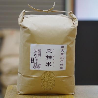 ふるさと納税 大子町 立神米はいごころ【大子町産・玄米・15kg】 | 