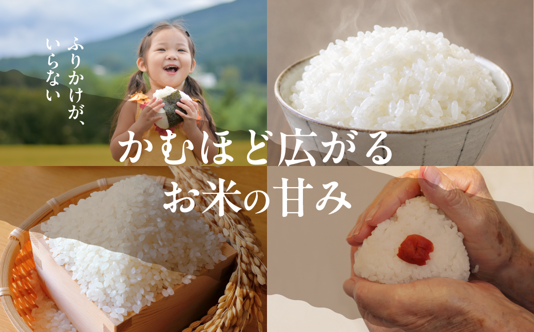 2026年産（令和8年） 位山源流米 コシヒカリ10kg  | 新米 米 ごはん 農家 コシヒカリ おいしい 飛騨高山 ファームやまじん TD002
