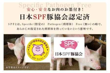 弓豚 焼肉 セット 2.4kg 豚肉 和豚 銘柄豚 肉 カタロース バラ 焼肉 バーベキュー 国産 高品質 希少 産地直送 ヘルシー 家庭用 ギフト 冷凍 【先行予約 2026年3月以降発送予定】 (
