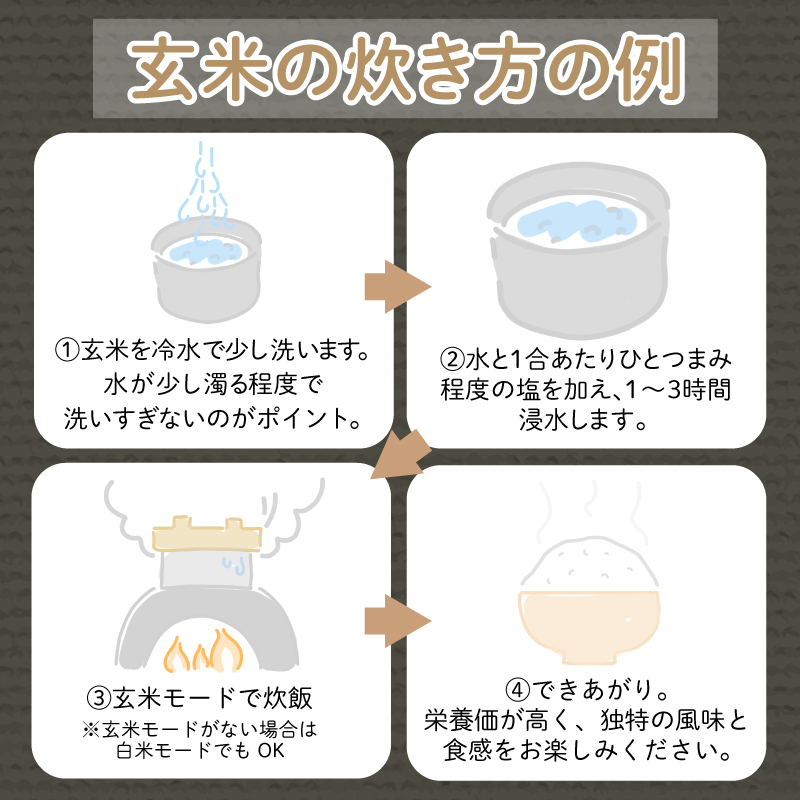 【2024年9月より順次発送】令和6年産 新米 玄米 コシヒカリ 5kg 栽培期間中無農薬 ふるさと納税 新生活 四国 徳島 小松島 新生活 おいしい お米 米 こめ おこめ 国産 ごはん ご飯 ゴハ