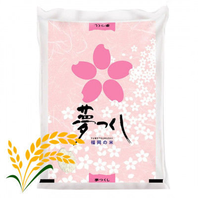 【令和7年産】福岡県産米食べ比べ＜白米＞「夢つくし」と「元気つくし」セット計10kg 宇美町