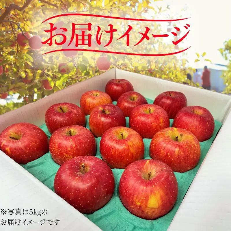 【12月上旬~発送】 りんご サンフジ 10kg 先行予約 訳あり 家庭用 ふじむら農園 fujimura006