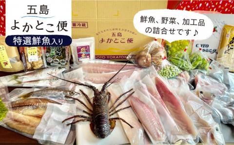 五島よかとこ便 特選鮮魚入り 野菜 加工品 おまかせ お楽しみ セット 五島市/GOTO Challenged 椿 [PDU002]