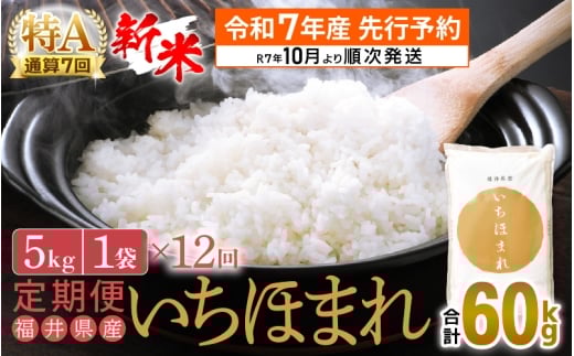 【新米・先行予約】令和7年産 お米 定期便 12回 いちほまれ 5kg × 12回（計60kg）特A 通算7回！福井県産【米 コメ kome 12ヶ月連続 計60キロ 精米 白米】【令和7年10月より順次発送予定】 [e27-n003]
