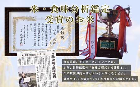 【予約】令和7年産　お米　コシヒカリ　丹波篠山産　じっくり精米10kg (5kgx2袋) | 兵庫県 丹波篠山市 白米 100％単一原料米 産地直送米 贈答 おいしい お米 精米 コシヒカリ ブランド