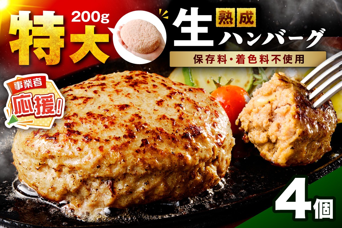 
                  【無添加】食べ応え抜群！ 生ハンバーグ 200g 4個【ふるさと納税3.0】【087D-090】
                