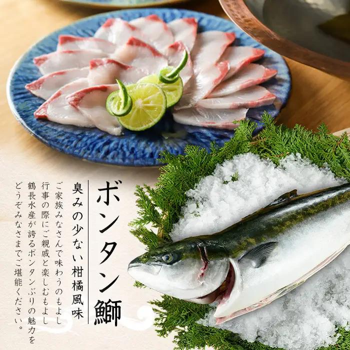 【12月28日出荷】ボンタンぶりまるごと一本(内臓処理済) ぶり 柵 刺身 ブリ 切り身 鰤 1本 鮮魚 下処理済み 鮮魚 1匹 刺身 ぶりしゃぶ ぶりかま 【鶴長水産】turu-7314R8-12