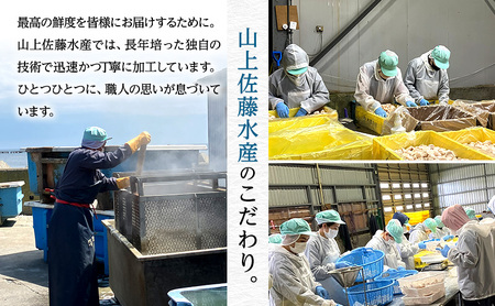 新巻鮭 切身10切 めじか鮭［オホーツク枝幸産］山上佐藤水産【 鮭 サケ 海鮮 魚貝類 サーモン 北海道 オホーツク 枝幸 】