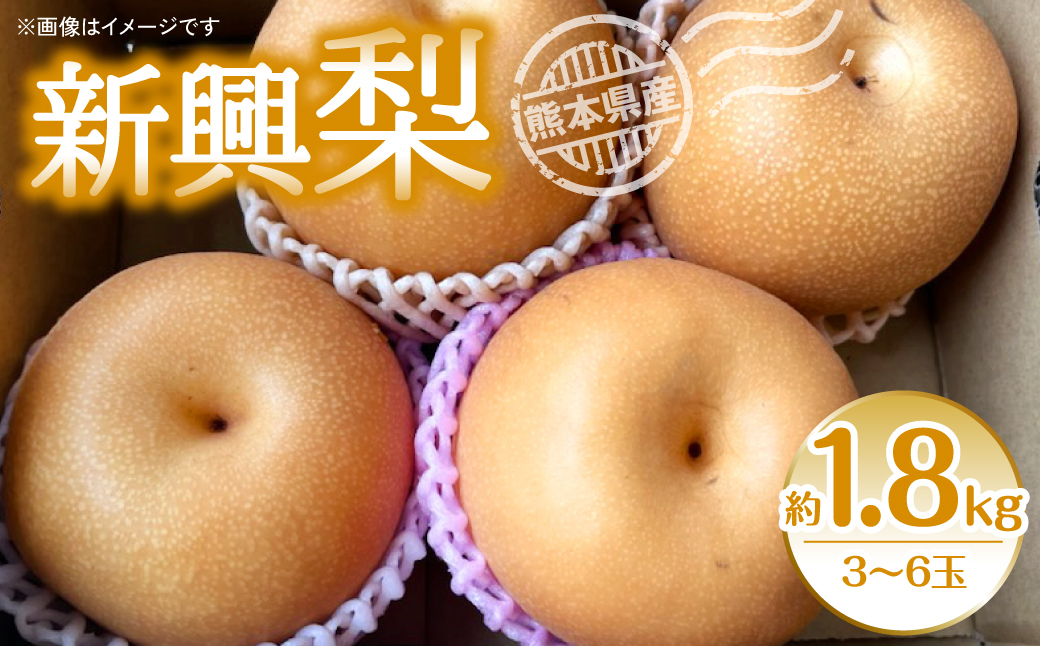 
            【先行予約】新興梨 約1.8kg（3~6玉）梨 なし 新興（ 梨 新興 新興梨 和梨 旬の梨 フルーツ 季節のフルーツ 旬のくだもの 季節の果物 ）  【2025年10月上旬より順次発送】
          