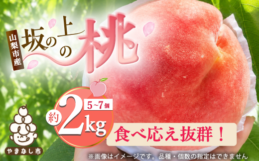 2026年発送【旬の桃 約2kg 5～7玉】 坂の上の桃 硬くて甘い! 食べ応え抜群!【配送不可地域：離島】
