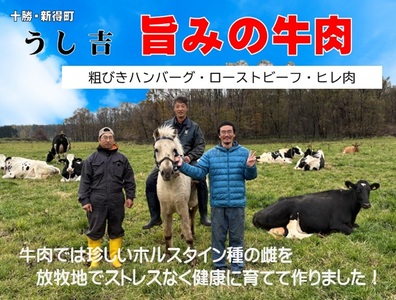 AN-2801 粗びきハンバーグ+ローストビーフ+ヒレセット