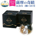 【ふるさと納税】 天然アルカリ温泉水 薩摩の奇蹟 5L×2箱 12ヶ月定期便 小型ボックス【送料無料】税込 天然温泉水 シリカ水 国産 アルカリ 温泉水 軟水 硬度0.6 超軟水 贈り物に ギフトに ミネラルウオーター　薩摩の奇蹟 さつまのきせき　ミネラルウォーター