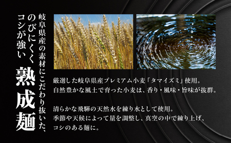 【訳あり】簡易包装 バラエティーセットB　麺3種 計9食（スープ 6種 計10個）（ちぢれ中太・ちぢれ極細・平打ち麺　各3個）【丸中製麺所】高山ラーメン 自家製麺 飛騨 下呂市 ラーメン しょうゆ み