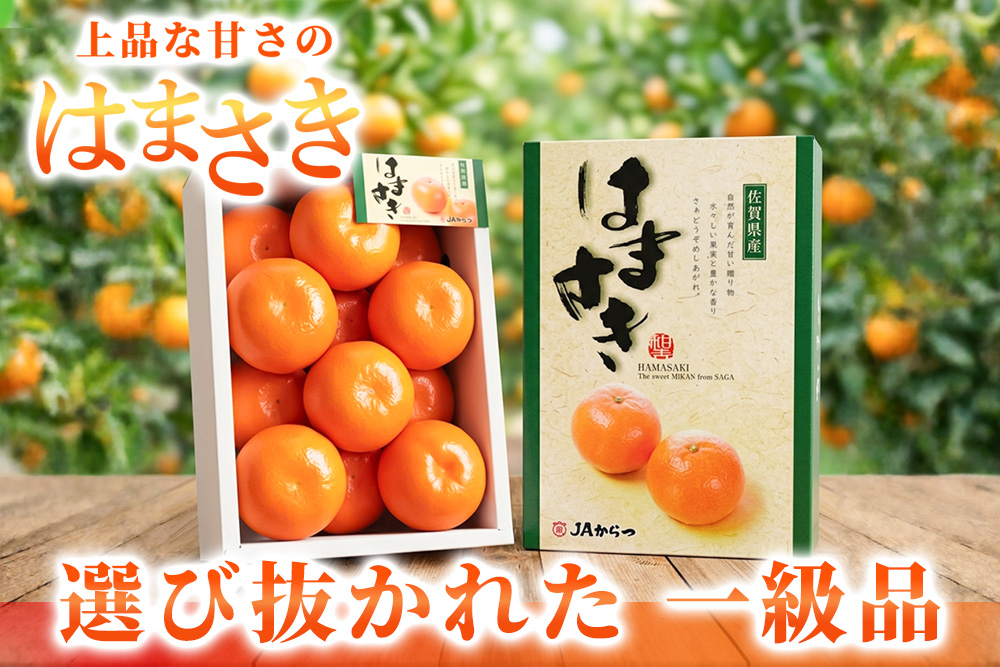 【2027年2月上旬より発送開始】【麗紅】はまさき 2.5kg【みかん 一級品 柑橘 フルーツ デザート】(H116144)