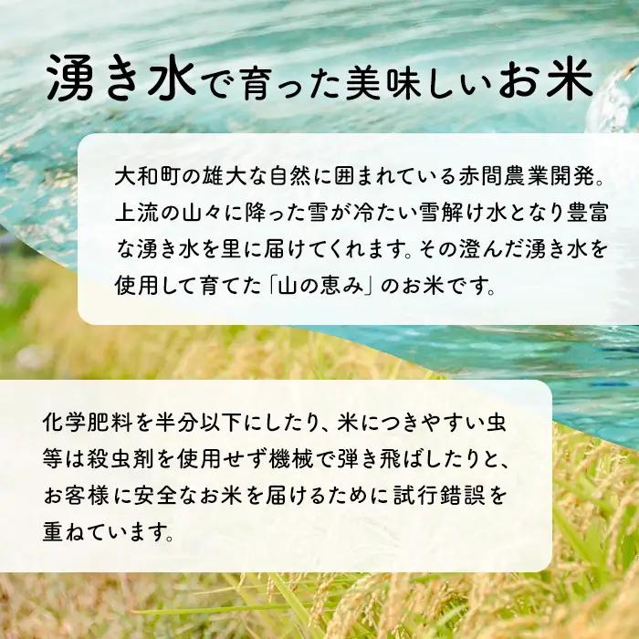 【令和8年産 新米】五百川 5kg お米 おこめ 米 コメ 白米 早場米 極早生品種 ご飯 ごはん おにぎり お弁当【赤間農業開発株式会社】ta719