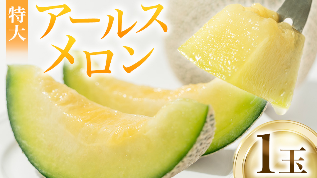 【2026年8月下旬発送開始】 季節 限定 ！ 甘さ満点 特大 アールスメロン 1個 果物 フルーツ 農家直送 産直 青肉メロン 特産品 マスクメロン メロン くだもの 茨城 [BC005sa]