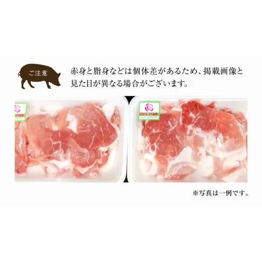 ローズポーク 小間肉 250g × 8P 合計 2kg ( 茨城県共通返礼品 )