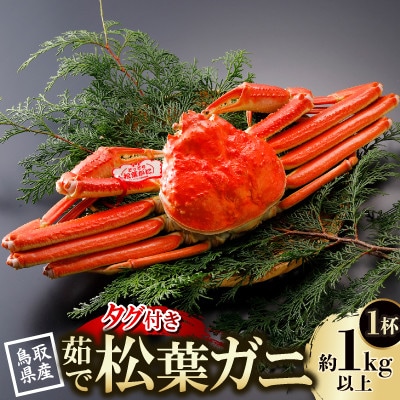 【先行予約】鳥取県産 タグ付き 茹松葉がに 1kg以上×1杯(中村商店)2027年1月末より順次発送【配送不可地域：離島・北海道・沖縄県・東北・信越、北陸】