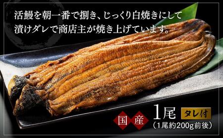 【ギフト用】うなぎ蒲焼(1尾）うなぎ