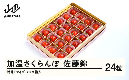 【先行予約】 加温 さくらんぼ 佐藤錦 特秀Lサイズ 24粒 150g 5月上旬~5月下旬頃発送 プレゼント ギフト チョコ箱入 令和8年産 2026年産 ハウス ハウス栽培 山形県産 ns-sntlc24