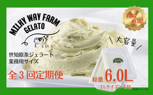 F187　《定期便》山中牧場「MILKY WAY FARM」ジェラート 業務用(２L)サイズ〈世知原茶〉【３回お届け】