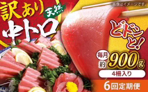 【全6回定期便】【訳あり】天然 まぐろ 中トロ メバチ 計約900g (4柵入り) マグロ 定期 鮪 まぐろ 中とろ 刺身  定期便【横須賀商工会議所 おもてなしギフト事務局（本まぐろ直売所）】 [AKAK051]
