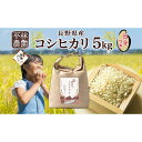 【ふるさと納税】無地熨斗 令和6年産 コシヒカリ 5分づき米 5kg×1袋 長野県産 米 お米 ごはん ライス 分つき米 農家直送 産直 信州 人気 ギフト 平林農園 熨斗 のし 名入れ不可 送料無料 長野県 大町市 | お米 こめ 白米 食品 人気 おすすめ 送料無料