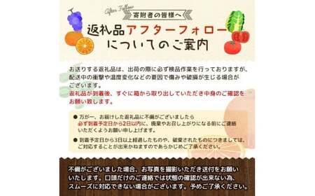 青梅 訳あり 南高梅 1kg+250g（痛み補償分） / 梅 梅ジュース 梅酒 梅干し 家庭用 和歌山 ※5月~6月発送予定 ※北海道・沖縄・離島への配送不可【ikd508-c-1H】