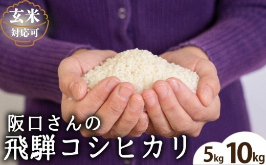 
                   特別栽培米 令和7年産 コシヒカリ 飛騨産 / 選べる 内容量 5kg 10kg 選べる 玄米 精白米 / 単品 米 阪口農園  特A こしひかり 阪口農園 米 白米 こめ コメ ごはん 飛騨市 5キロ 10キロ 16000円 32000円 ［Q1839ch]
                