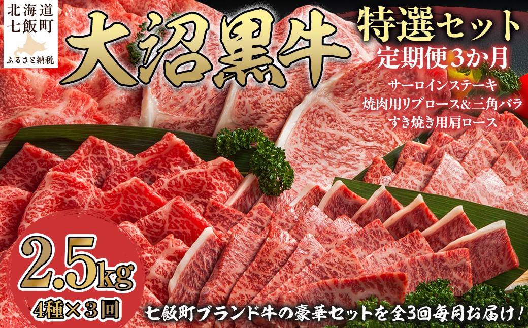 
                  定期便セット定期3カ月　大沼黒牛の特選セット 【 ふるさと納税 人気 おすすめ ランキング 北海道ブランド牛 大沼黒牛 黒毛和牛 サーロイン リブロース 焼肉 肩ロース おいしい 北海道 七飯町 送料無料 】 NAM059
                