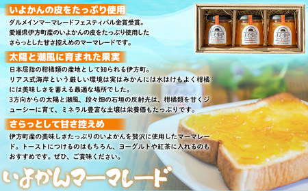 いよかんマーマレード「よそゆき」3点セット【ダルメインマーマレードフェスティバル金賞受賞】※離島への配送不可 【ふるさと納税 人気 おすすめ ランキング マーマレード いよかん 伊予柑 みかん ミカン