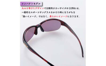 SWANS サングラス LN-0170 DMBR  サングラス