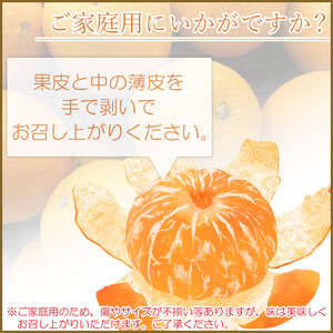 ＜愛媛県西予市産 伊予柑 家庭用 約8kg＞ 訳あり ワケアリ 果物 くだもの ミカン 柑橘 フルーツ いよかん イヨカン 特産品 段畑みかん 愛媛県 西予市【常温】『2023年1月中旬～1月末までに