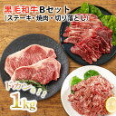 【ふるさと納税】宮崎県産 『黒毛和牛ステーキ・焼肉・切り落としBセット(1kg)』 15000円 1万円台 故郷納税 赤身肉 お肉 牛肉 国産ブランド牛 贈答 ギフト 3種 冷凍 贈り物 プレゼント 送料無料 オンラインワンストップ対応