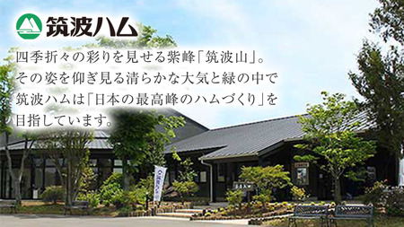 【贈答用（熨斗対応可）】筑波ハム バラエティ 6品 ( ハム ベーコン ソーセージ )  『常陸の輝き』 茨城県産 ブランド豚 銘柄豚 ( 茨城県共通返礼品 ) ボンレスハム フランク ウィンナー 豚