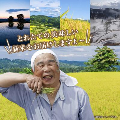 ふるさと納税 十日町市 無洗米 令和7年産 魚沼産 コシヒカリ 20kg (お米の美味しい炊き方ガイド付き) |  | 02