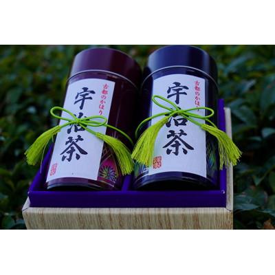 ふるさと納税 南山城村 贈り物におすすめ!農林水産大臣賞をいくつも受賞しているお茶の木野園の煎茶セット【宇治茶】