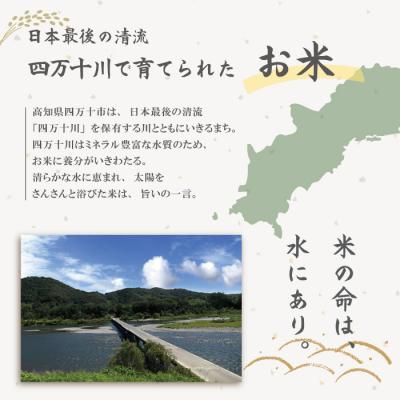ふるさと納税 四万十市 【令和7年産】おいしい・あんしん・しまんとのお米　しまんと農法米(コシヒカリ)10kg R7 |  | 01